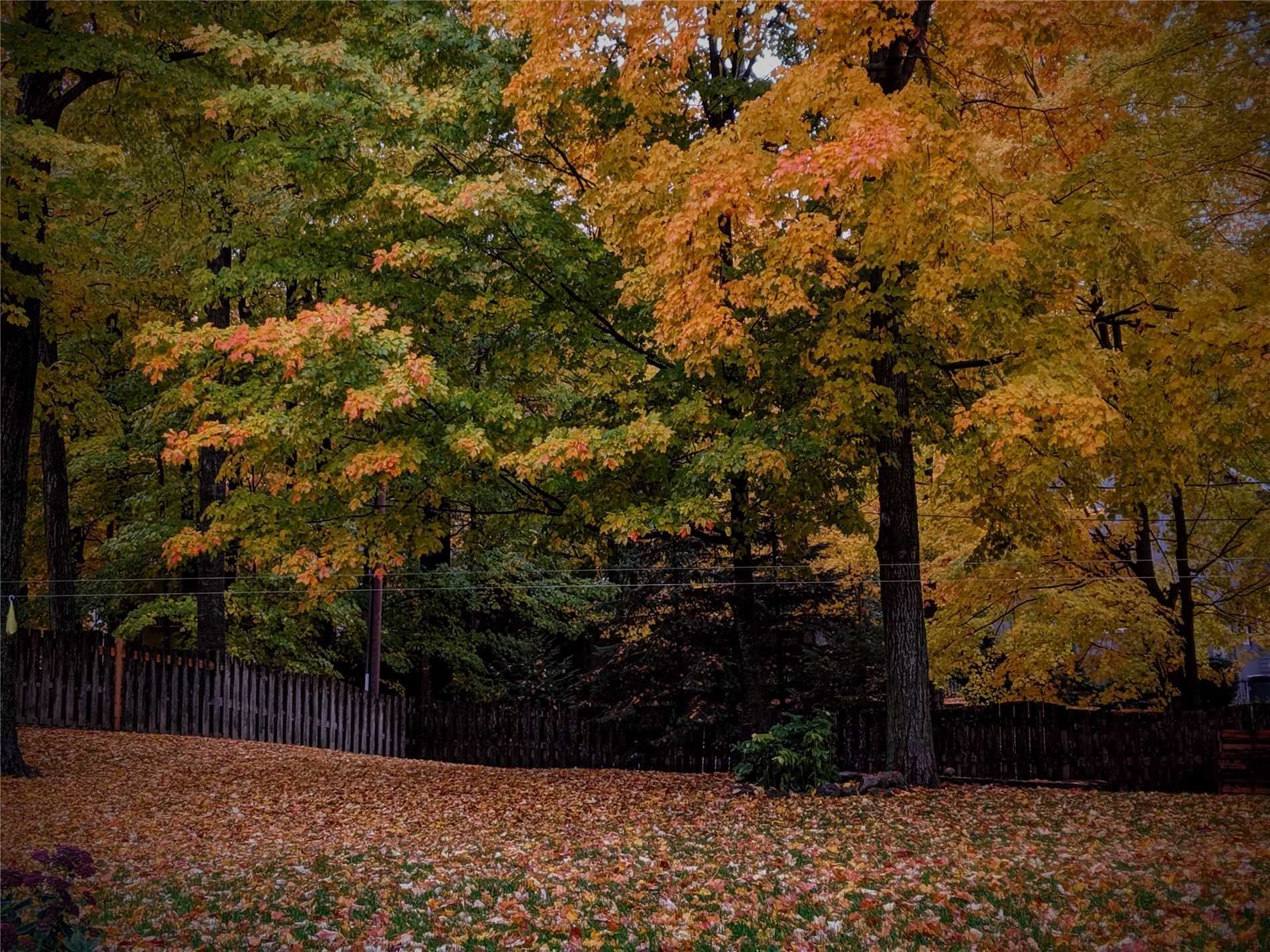 Listing X5077927 - Large Photo # 33