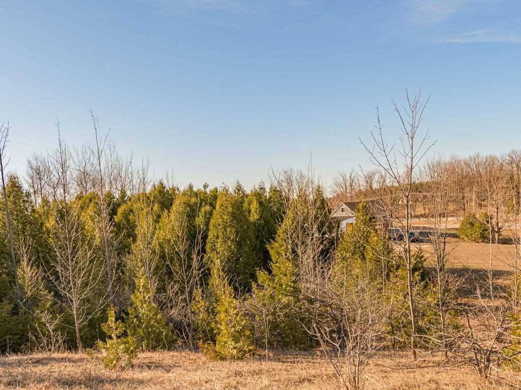 5135 Trafalgar Rd