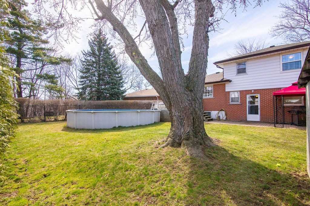 5 Gemma Crt