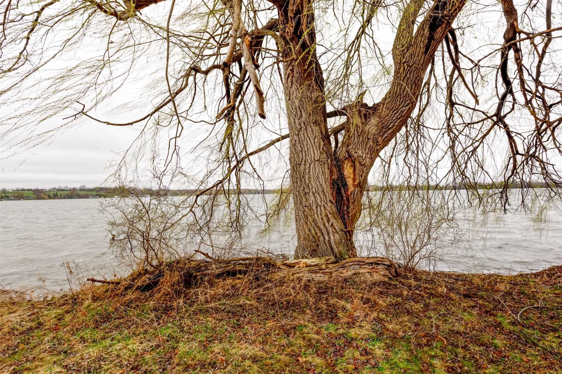 Listing X5193057 - Large Photo # 30