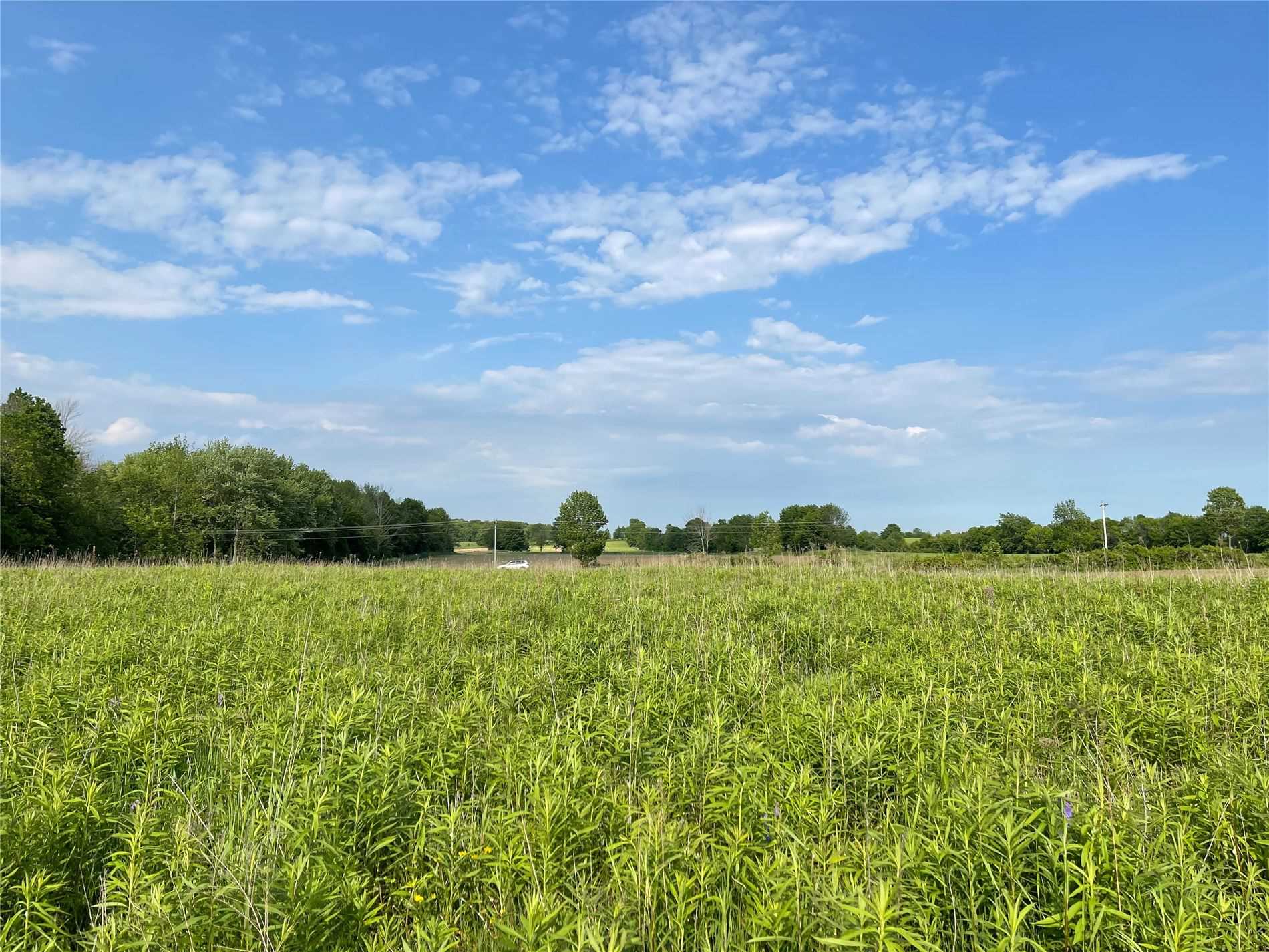 Listing X5262684 - Large Photo # 4
