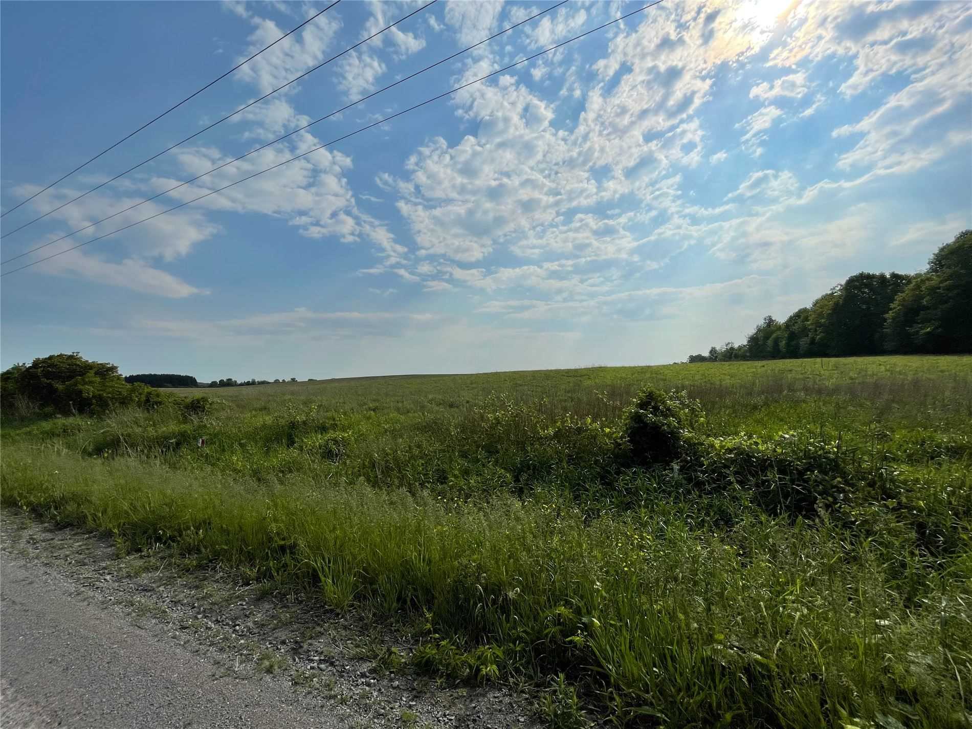Listing X5262684 - Large Photo # 1