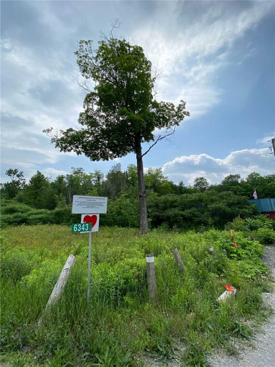 6343 Highway 35