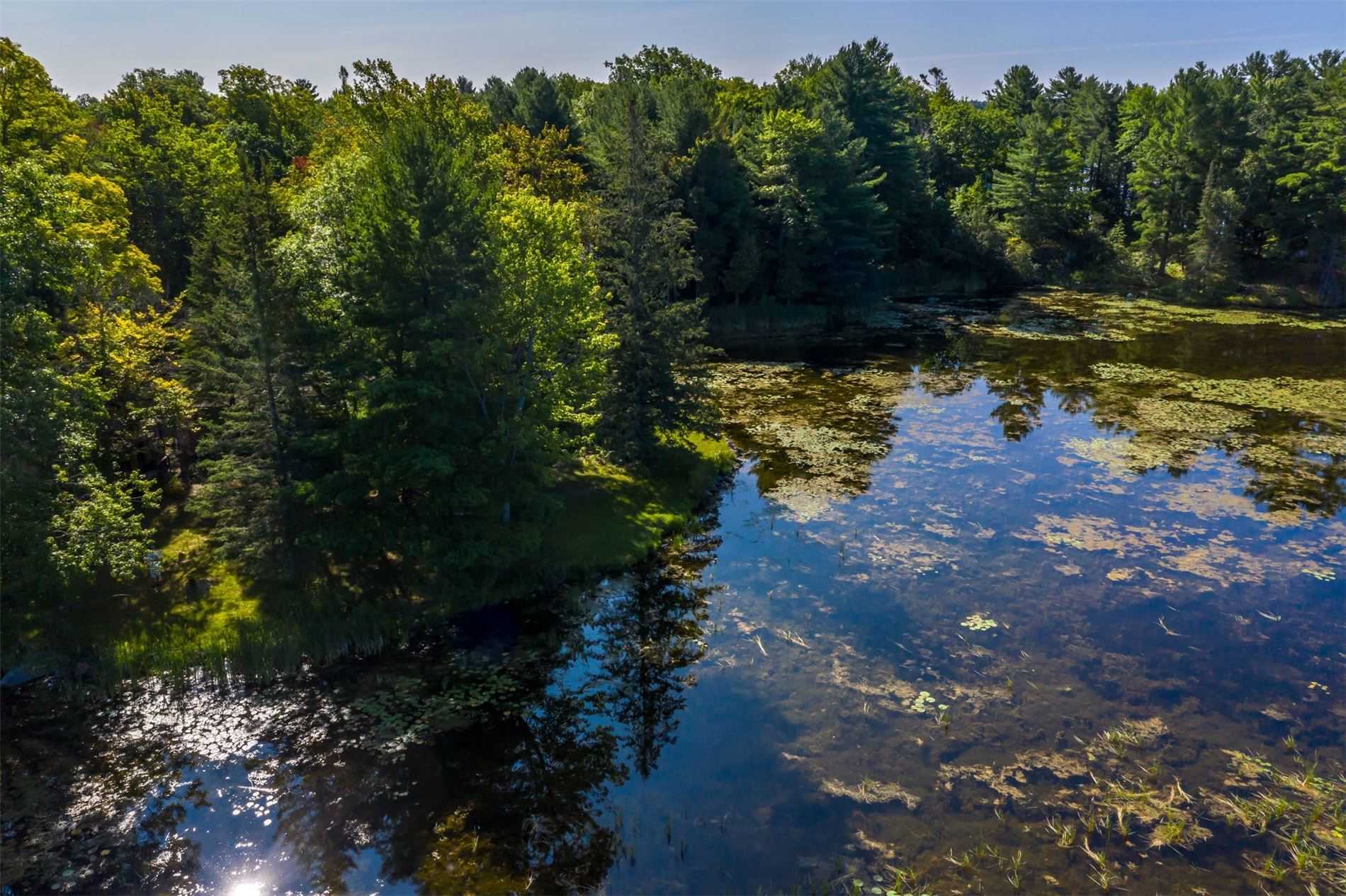 Listing X5343556 - Large Photo # 32