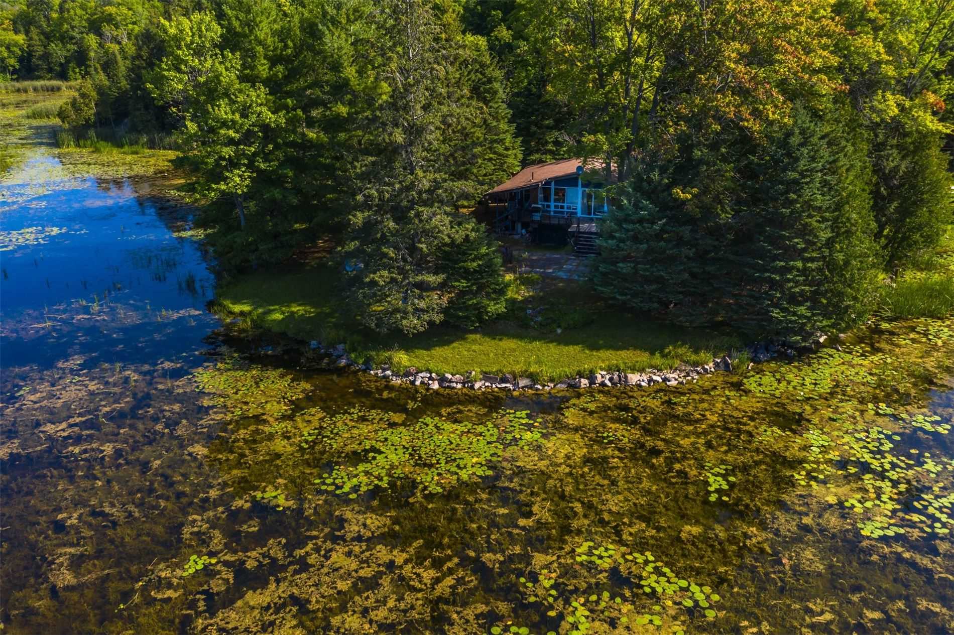 Listing X5343556 - Large Photo # 35