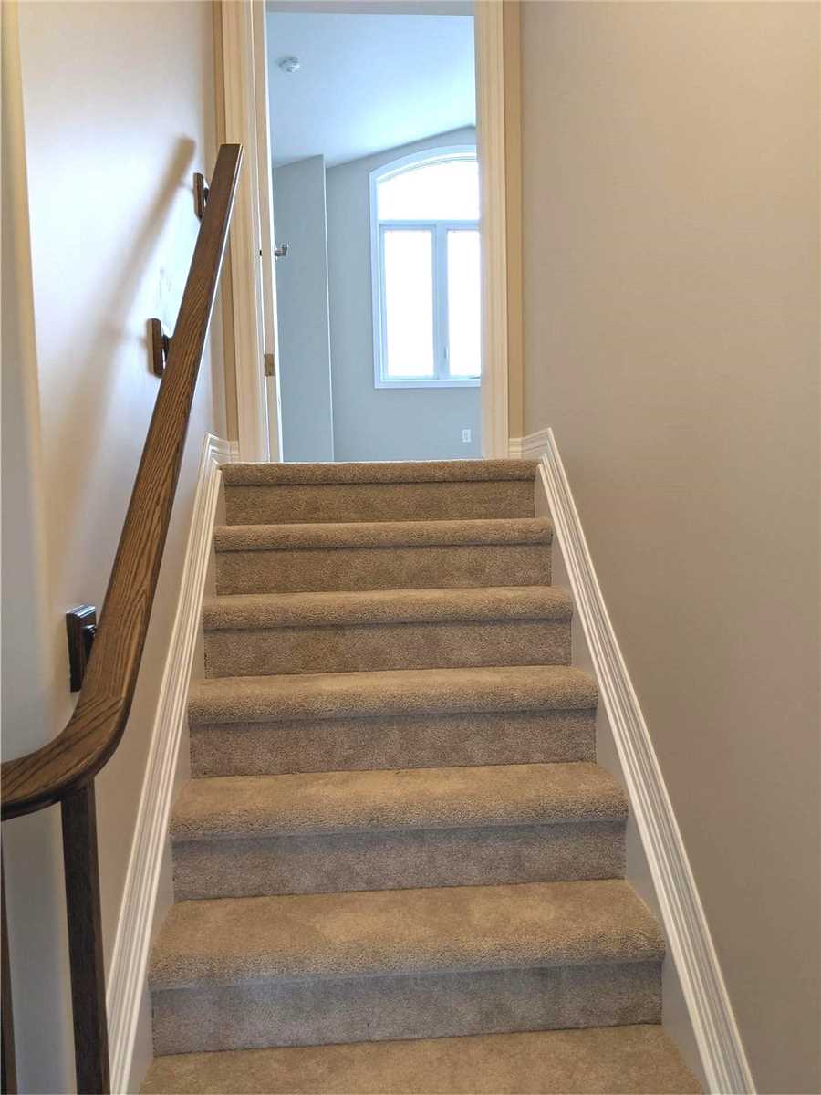 9 Cinnamon St