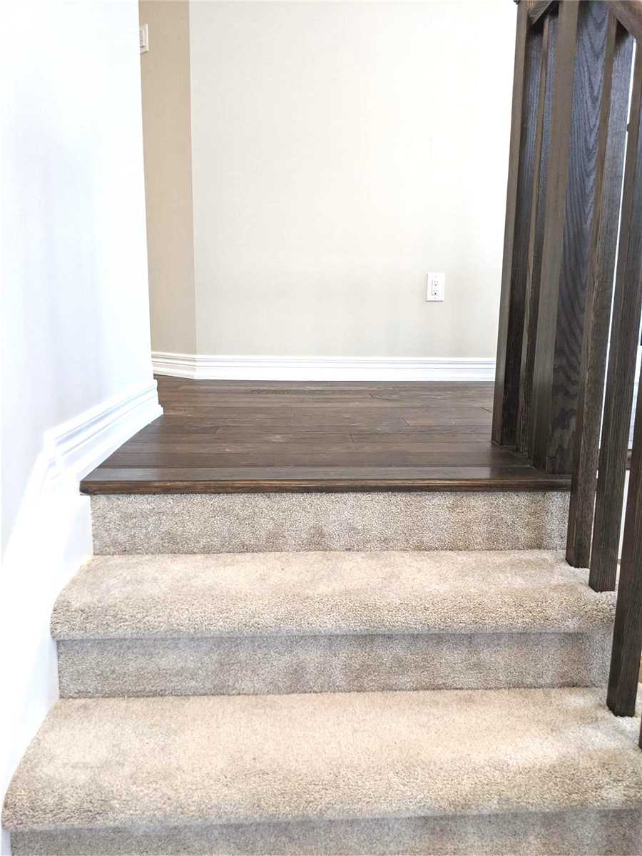 9 Cinnamon St