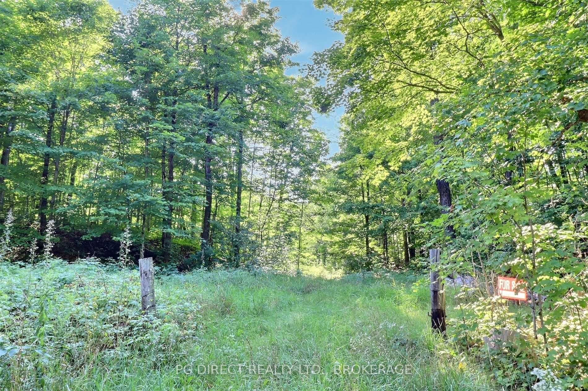 Listing X5352843 - Large Photo # 2