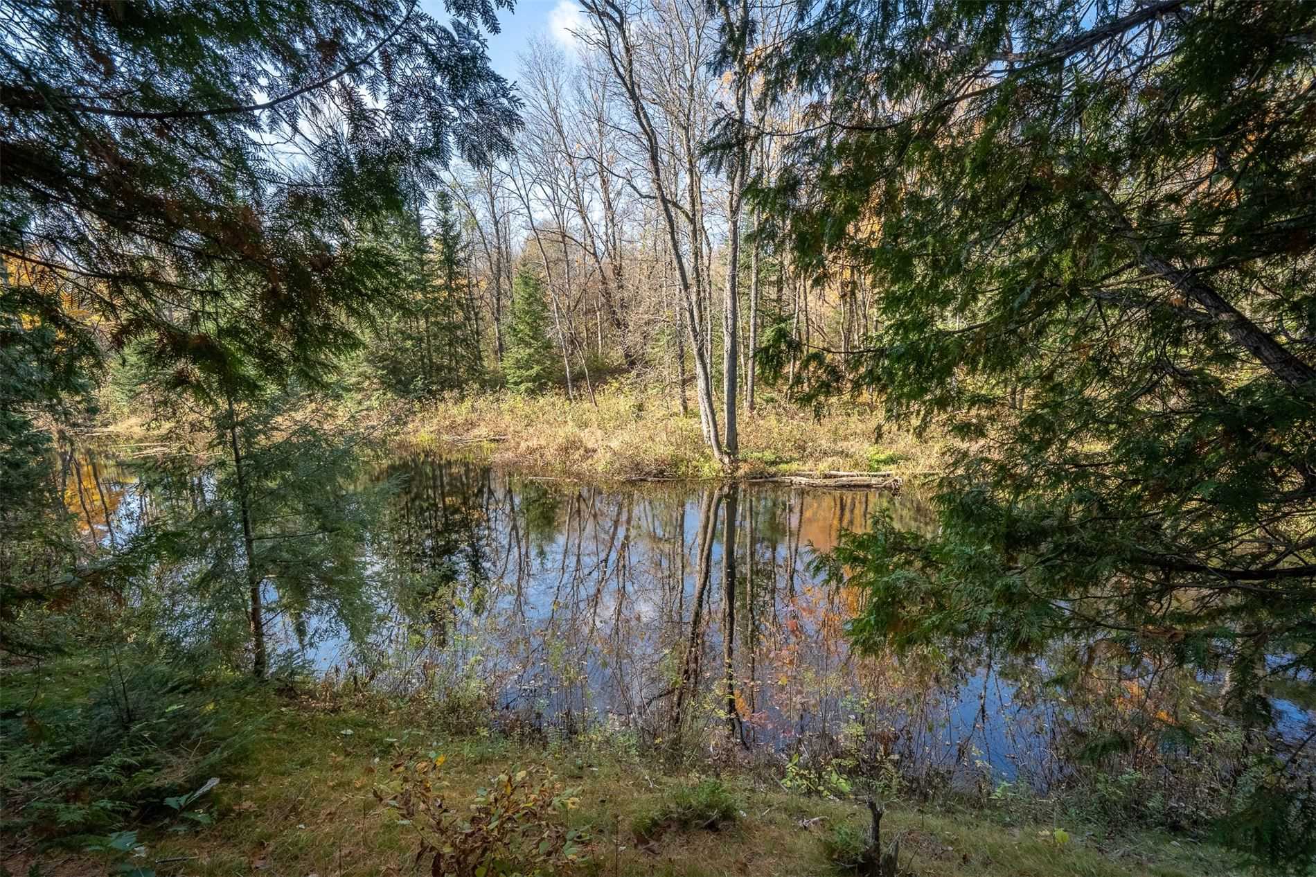 Listing X5402887 - Large Photo # 20
