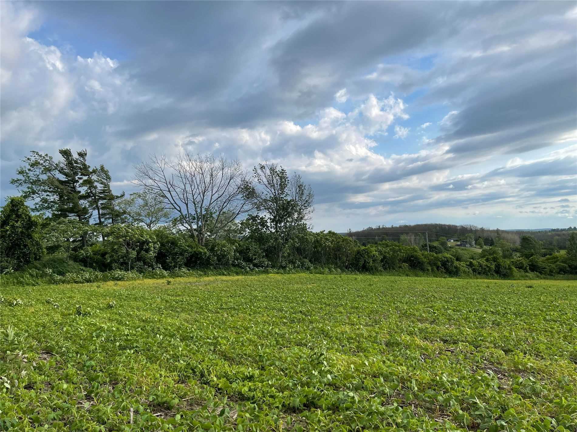 Listing X5419340 - Large Photo # 2