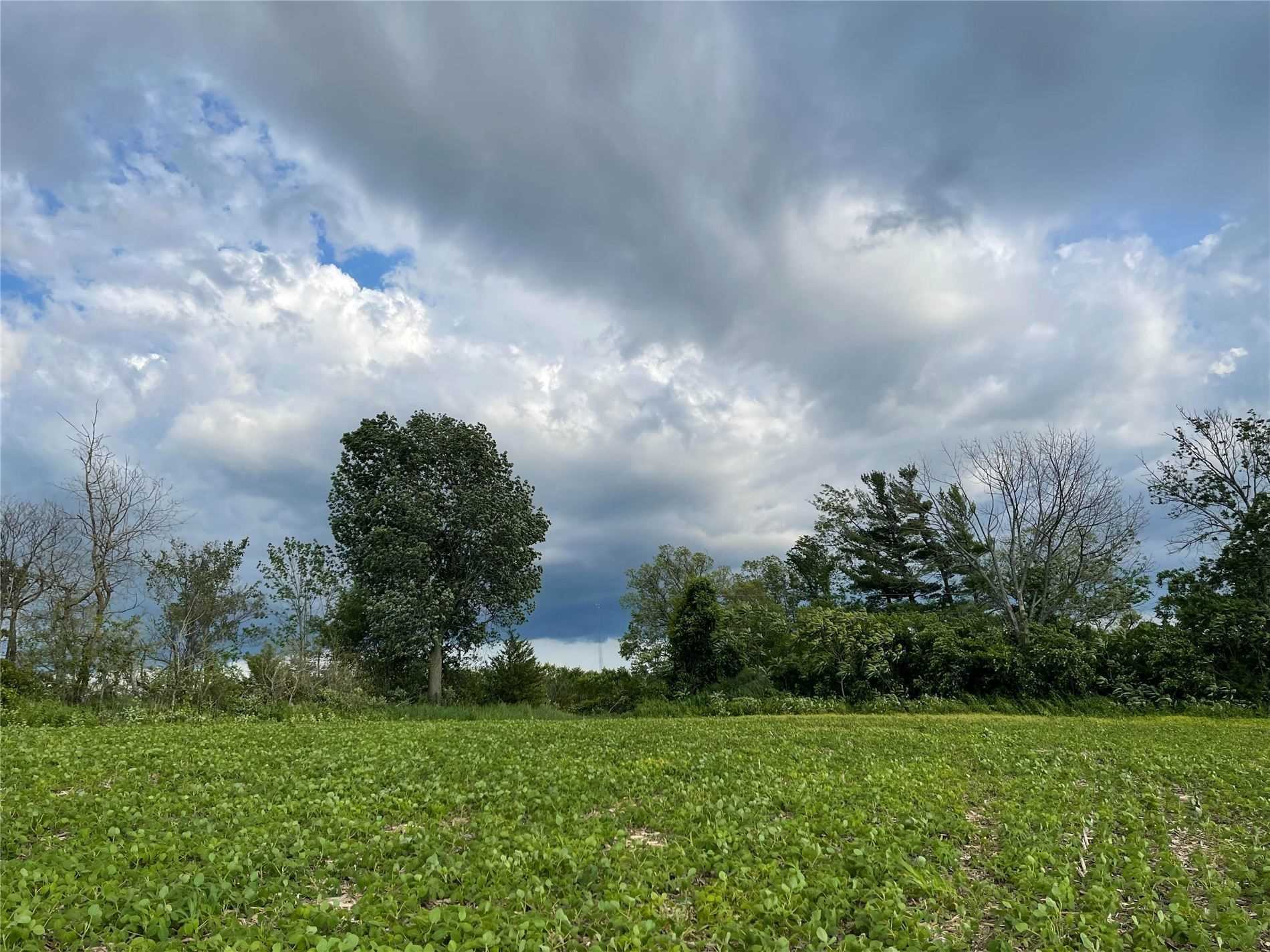 Listing X5419340 - Large Photo # 3