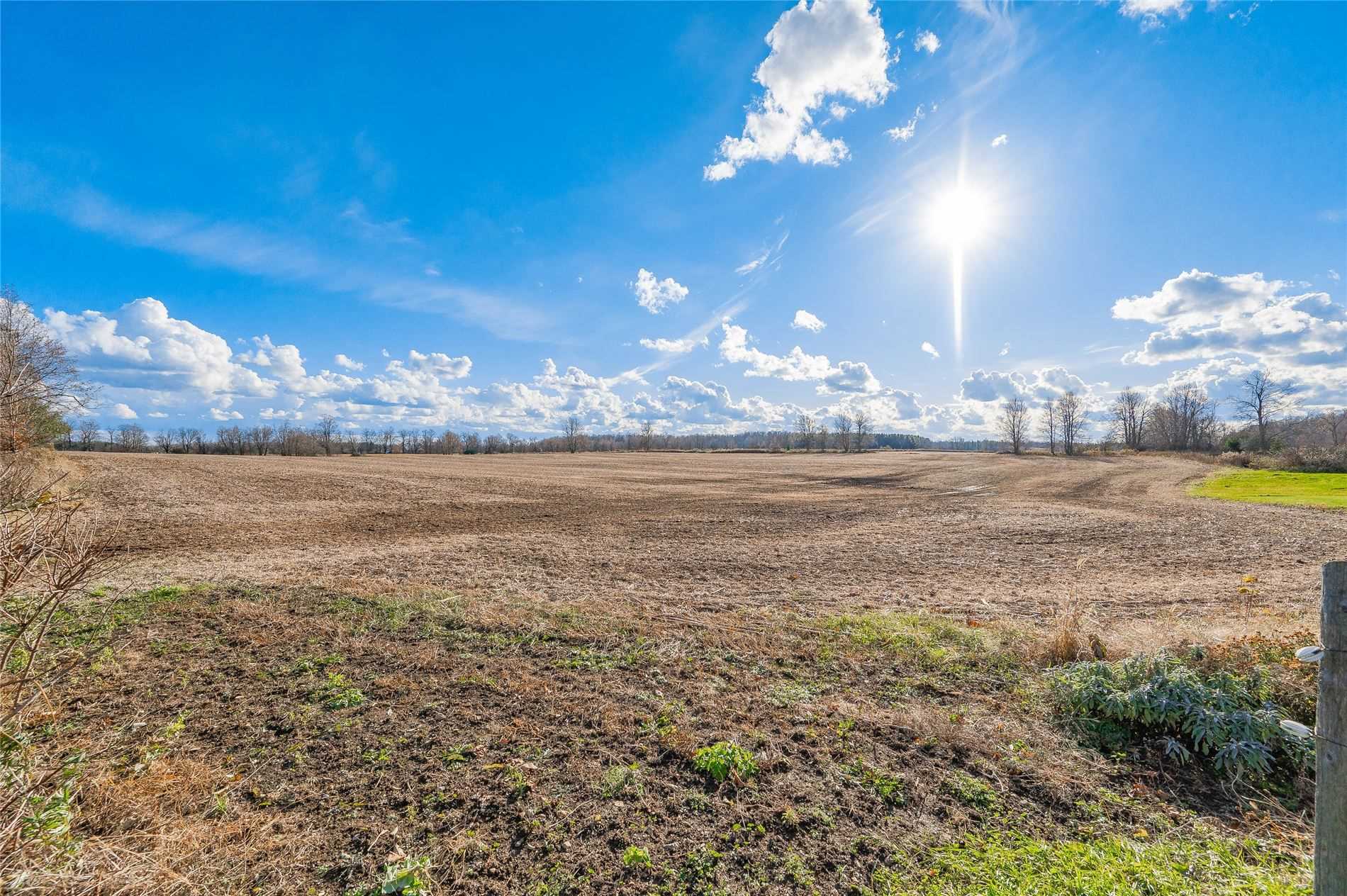Listing X5435899 - Large Photo # 32
