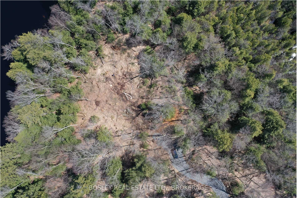 1310 Camel Lake Rd, Muskoka Lakes
