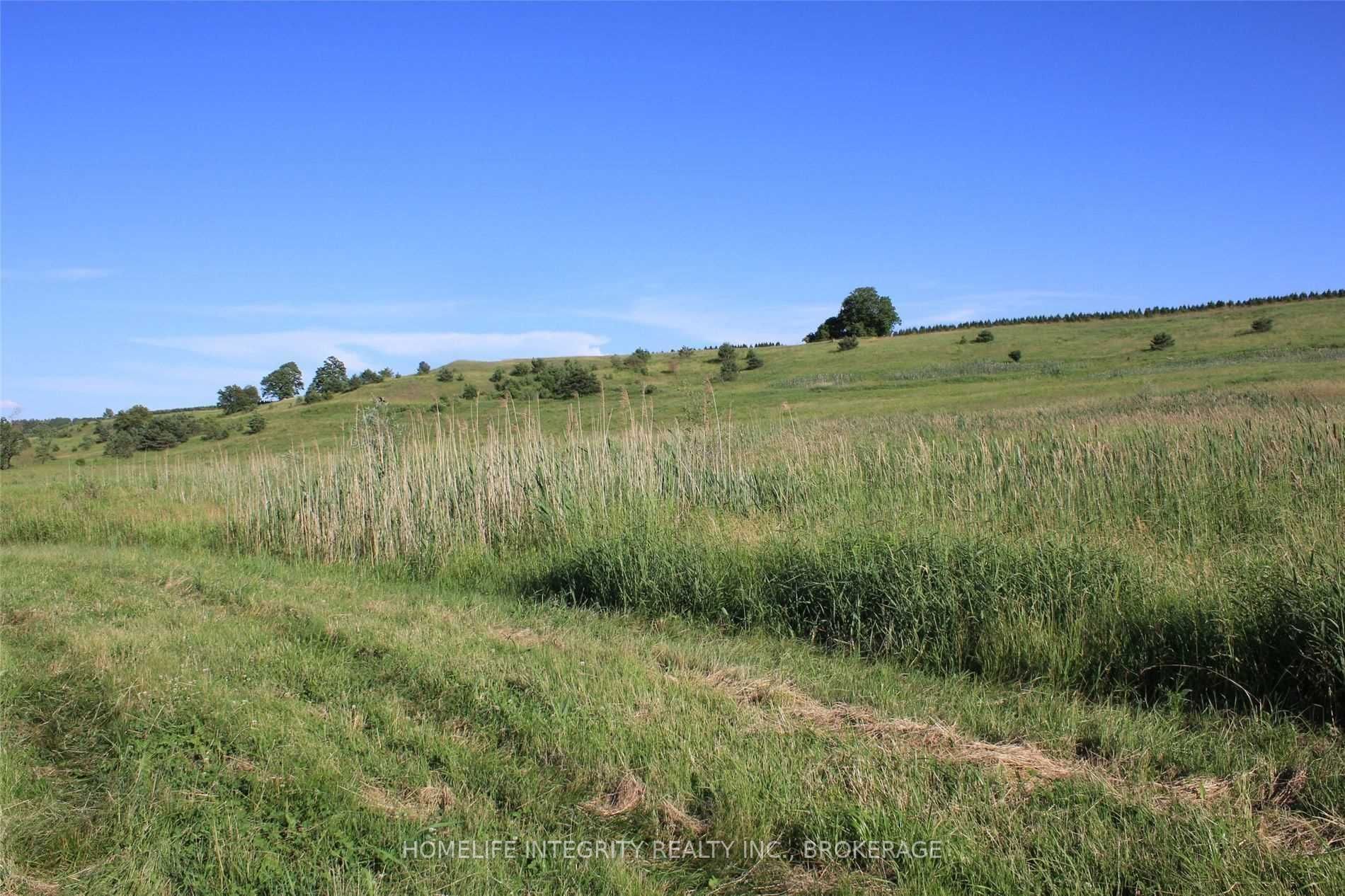 Listing X5500878 - Large Photo # 17