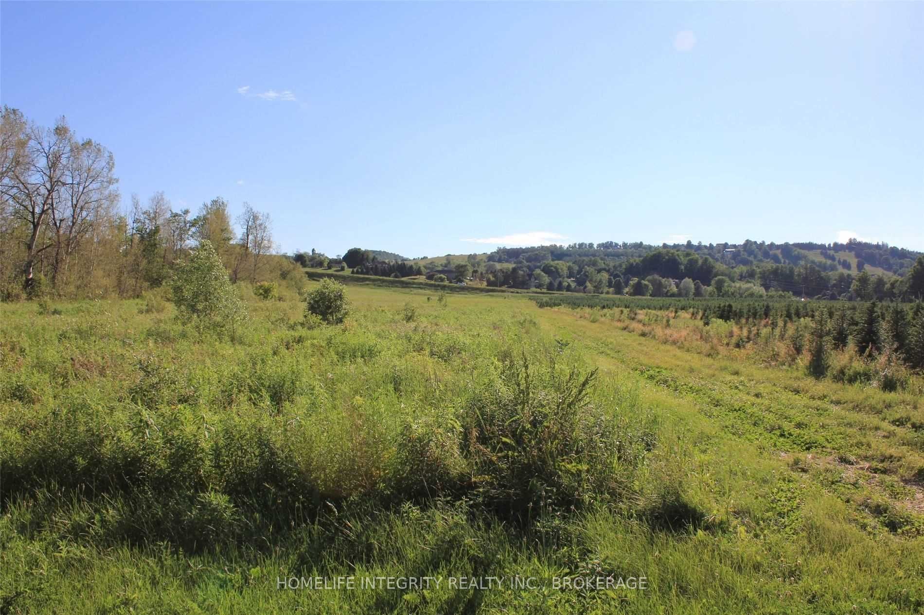 Listing X5500878 - Large Photo # 10