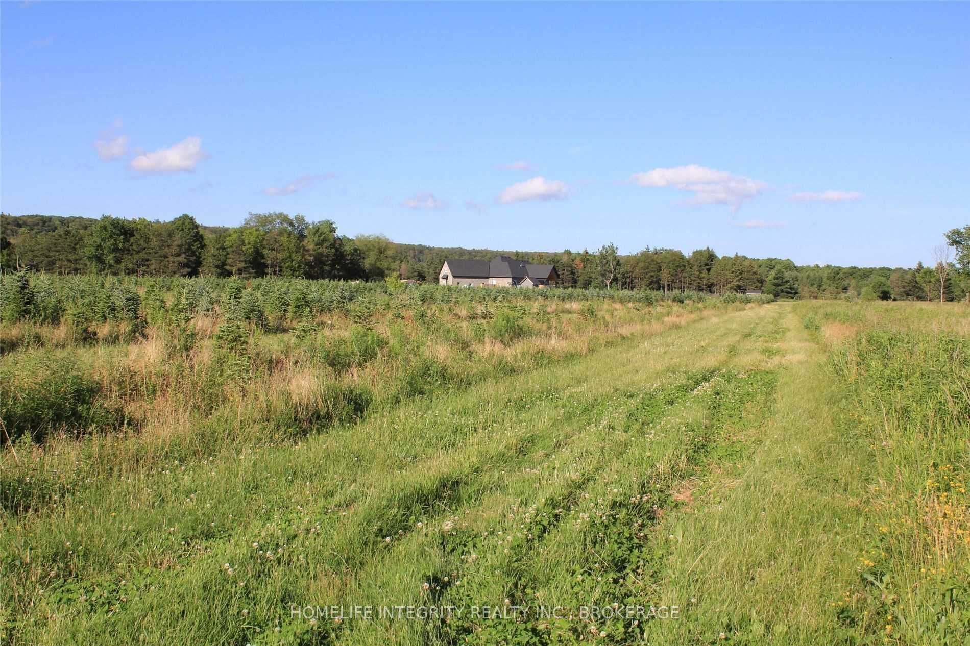 Listing X5500878 - Large Photo # 4