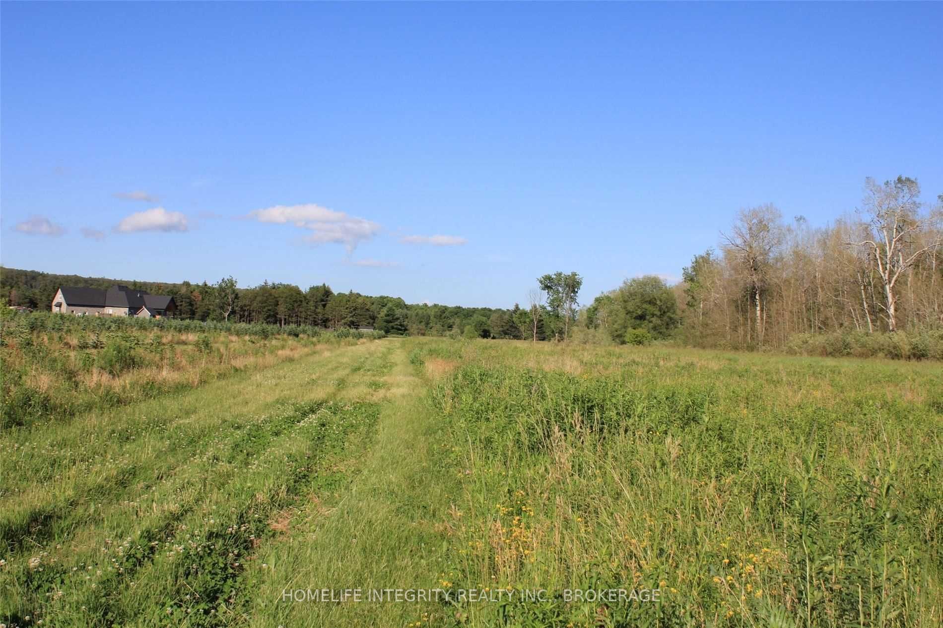 Listing X5500878 - Large Photo # 3