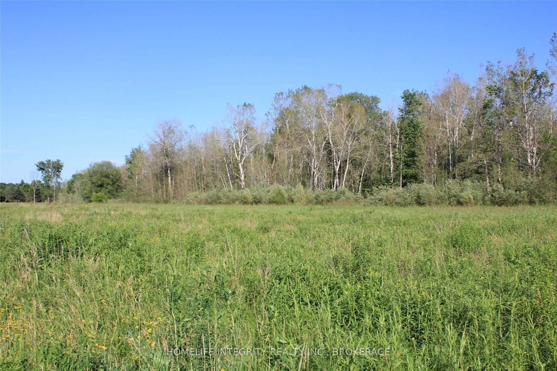 Listing X5500878 - Large Photo # 2