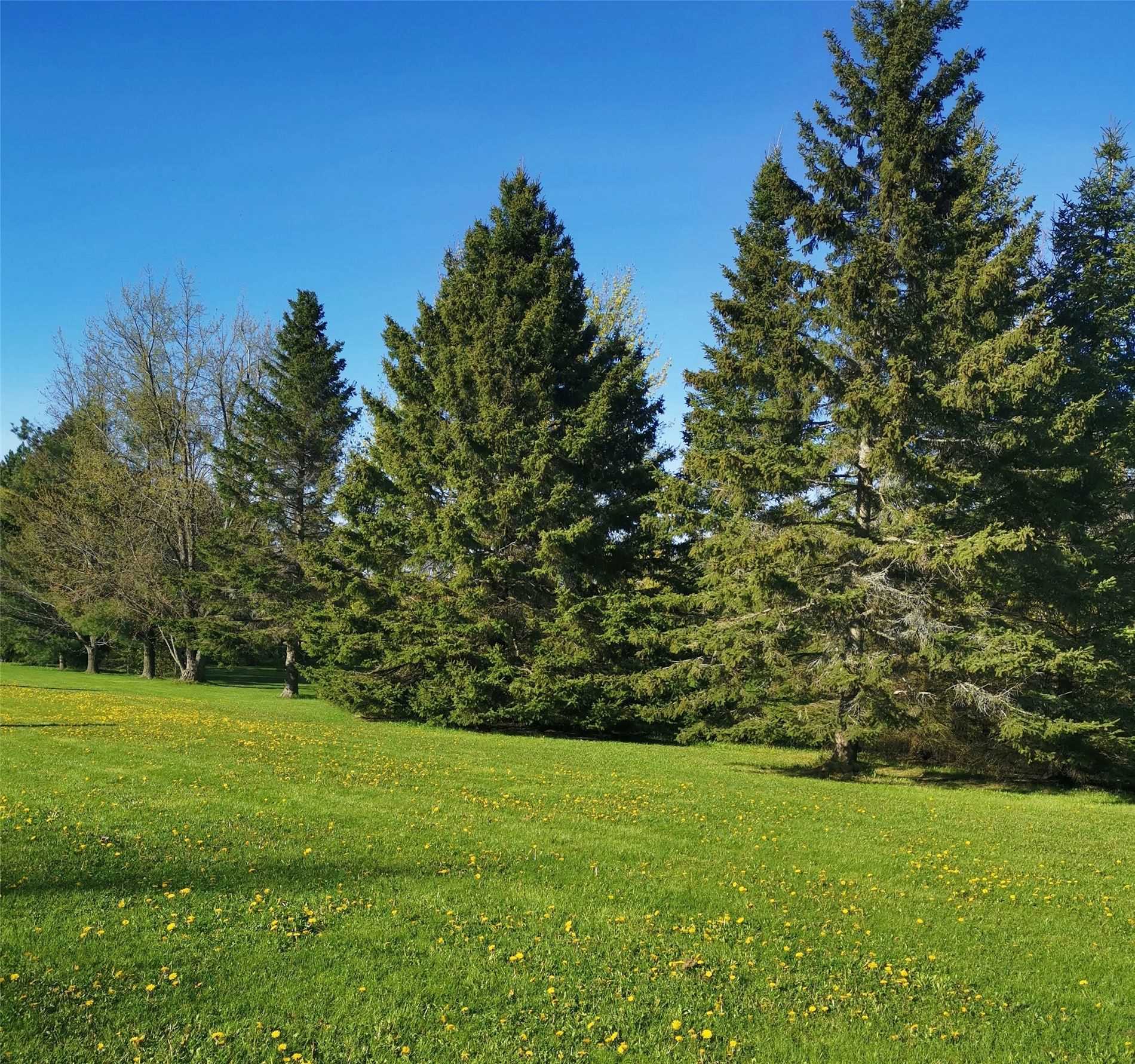 33 Maplewood Dr