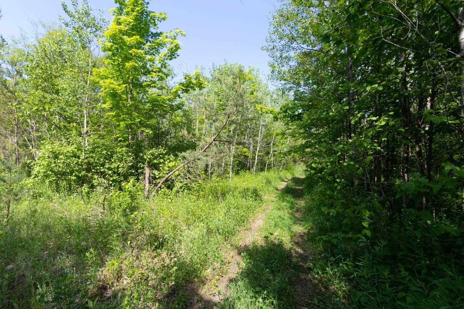 Listing X5586813 - Large Photo # 2
