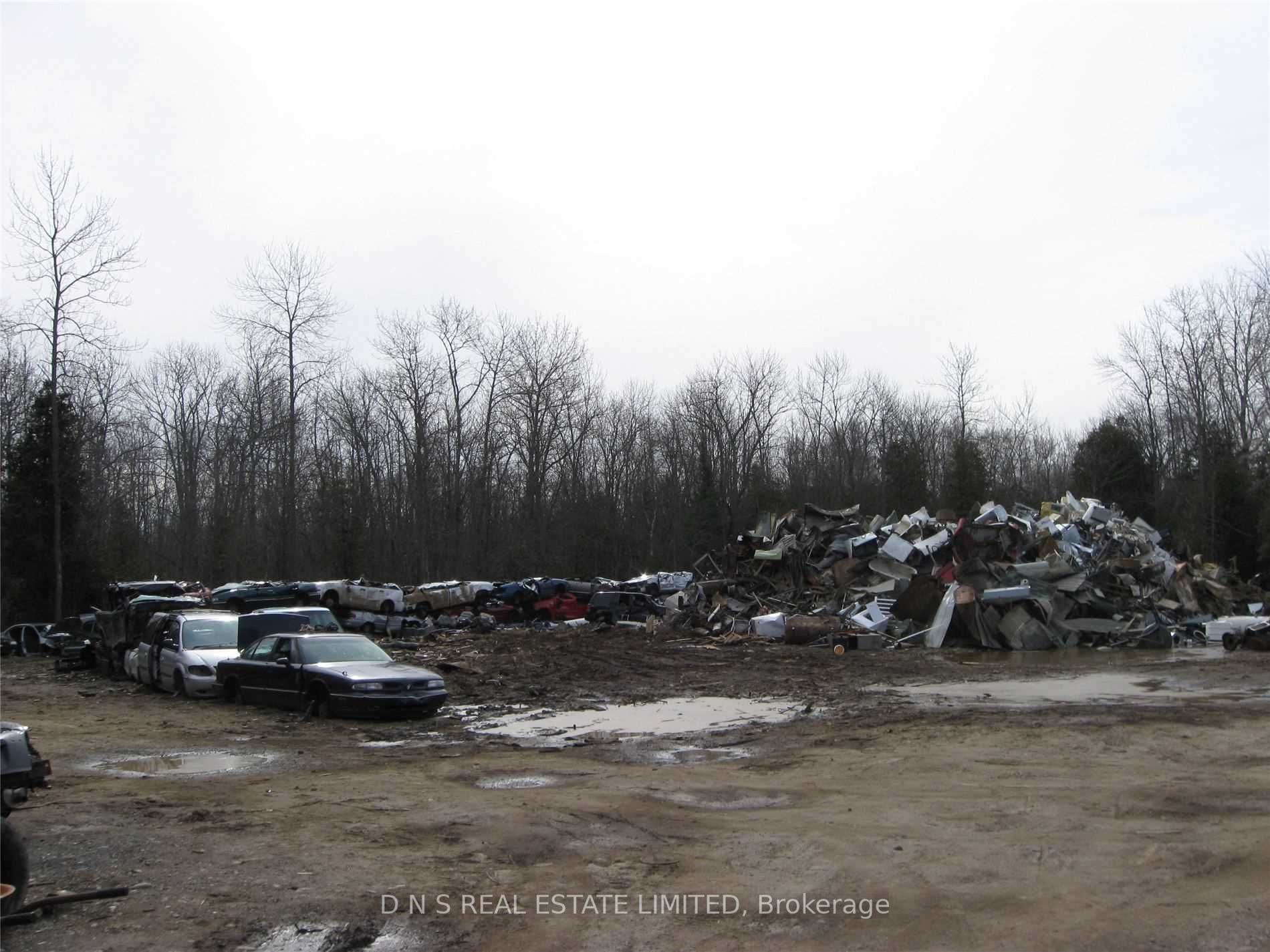Listing X5595295 - Large Photo # 8