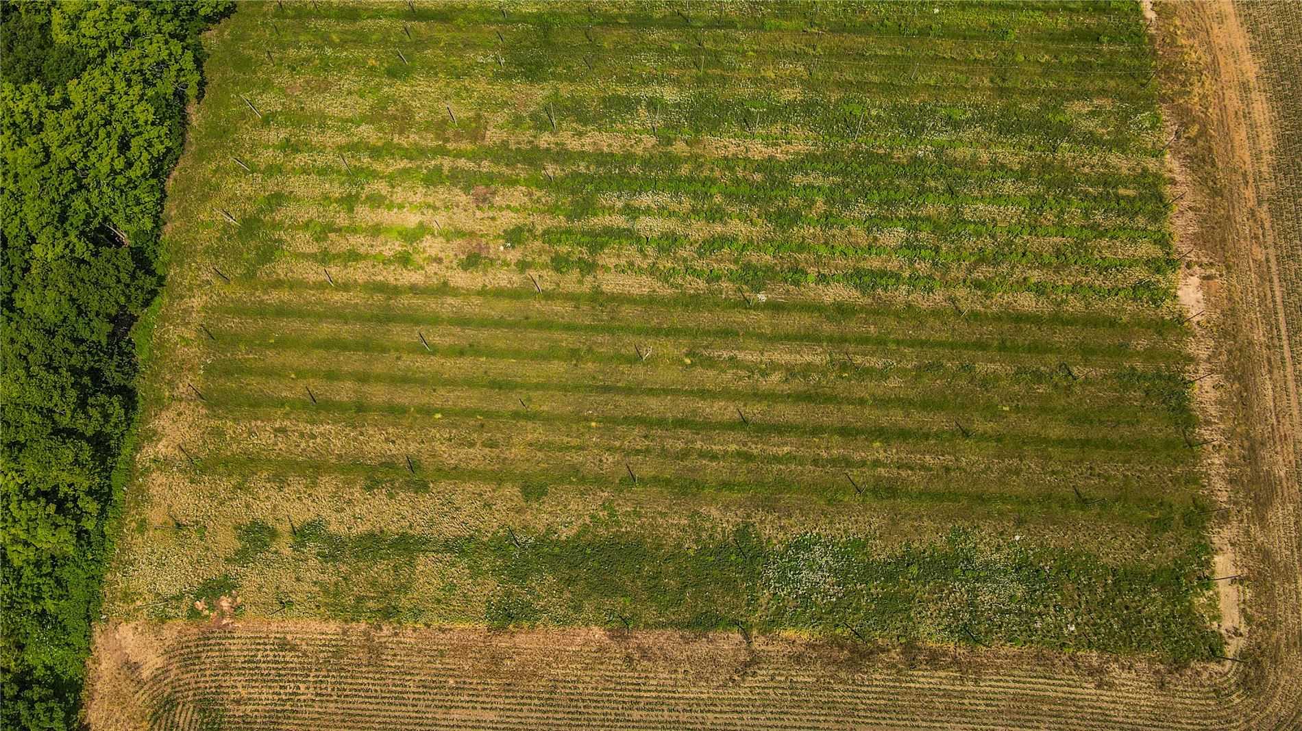 0 County Road 38