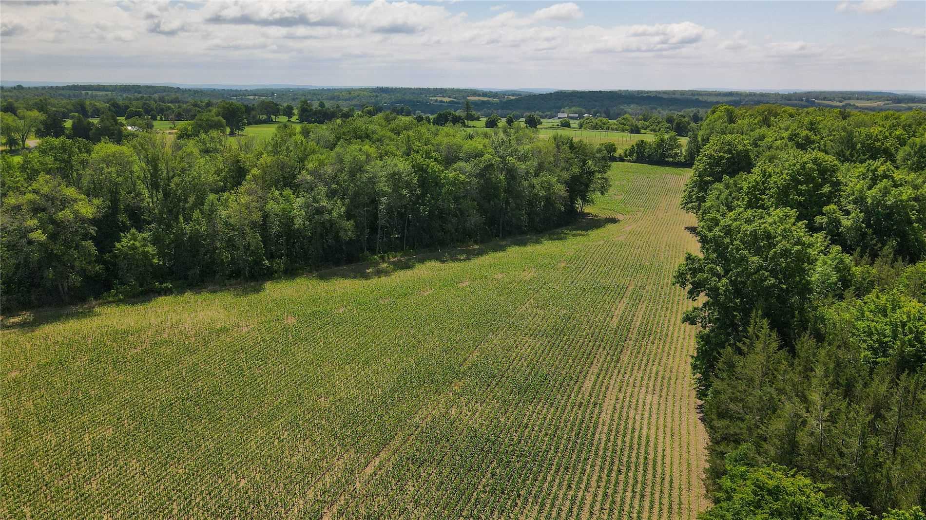 0 County Road 38