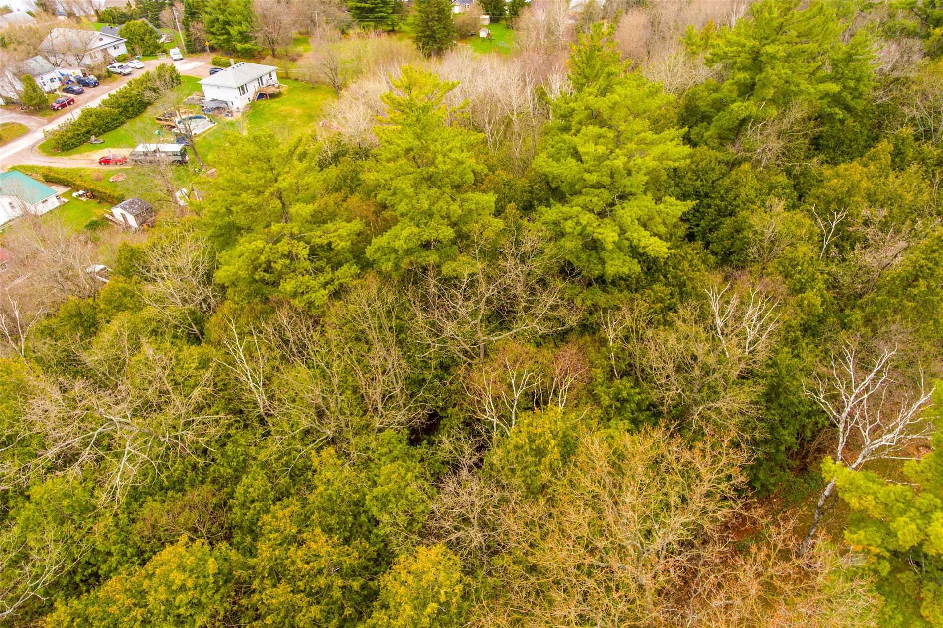 Listing X5604596 - Large Photo # 8