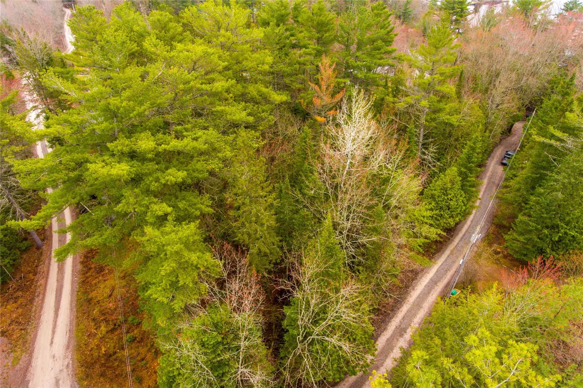 Listing X5604651 - Large Photo # 10