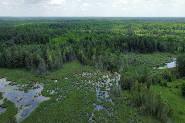 2206 Victoria Rd, Kawartha Lakes