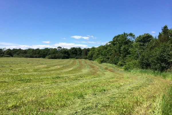 0 County Road 1 Rd, Prince Edward County