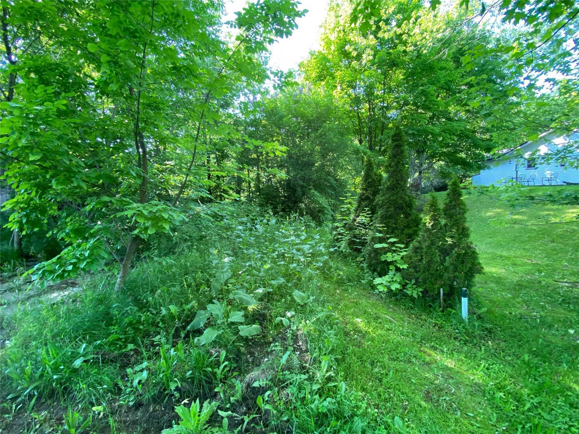 Listing X5660025 - Large Photo # 3