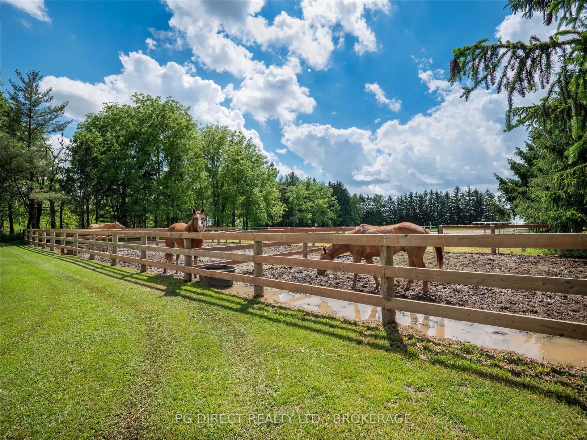 Listing X5670205 - Large Photo # 3
