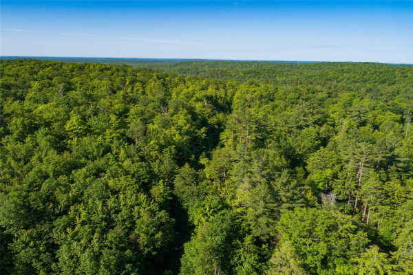 7234 Old Hastings Lot 49 Rd, Tudor & Cashel