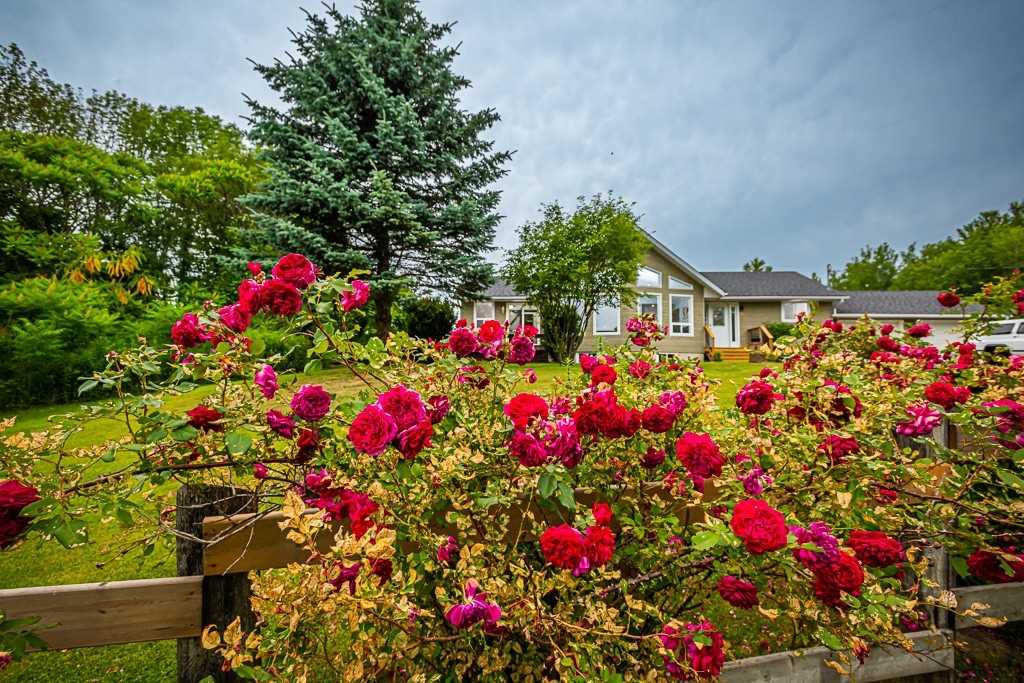 Listing X5684405 - Large Photo # 2