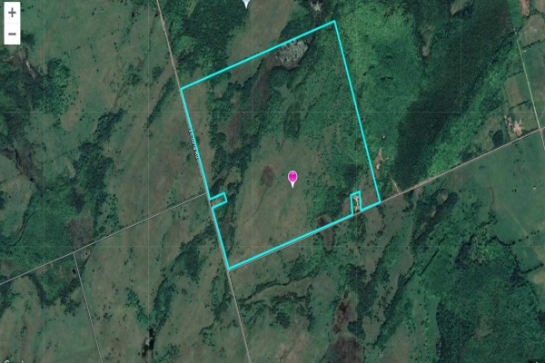 Lt 11 Con 1 Victoria Rd, Kawartha Lakes
