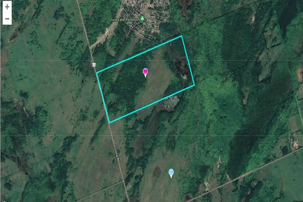 Lt 12 Con 1 Victoria Rd, Kawartha Lakes