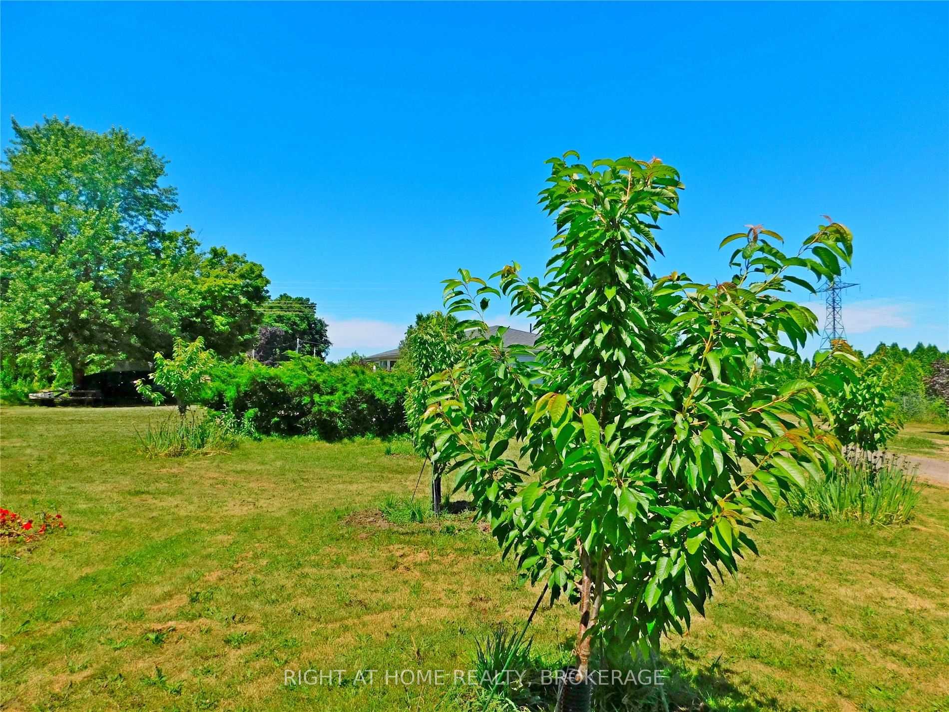 Listing X5699512 - Large Photo # 6