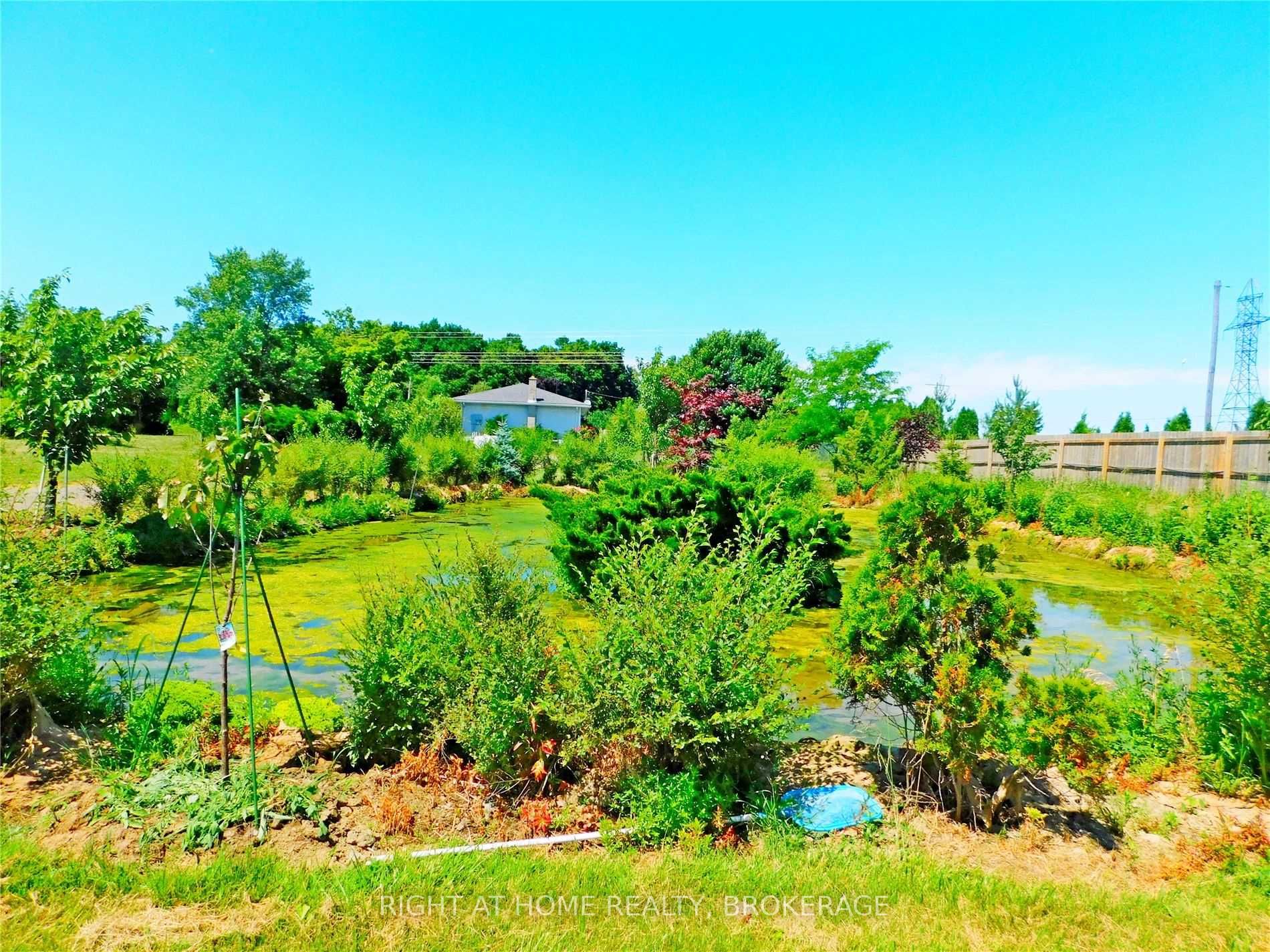 Listing X5699512 - Large Photo # 8
