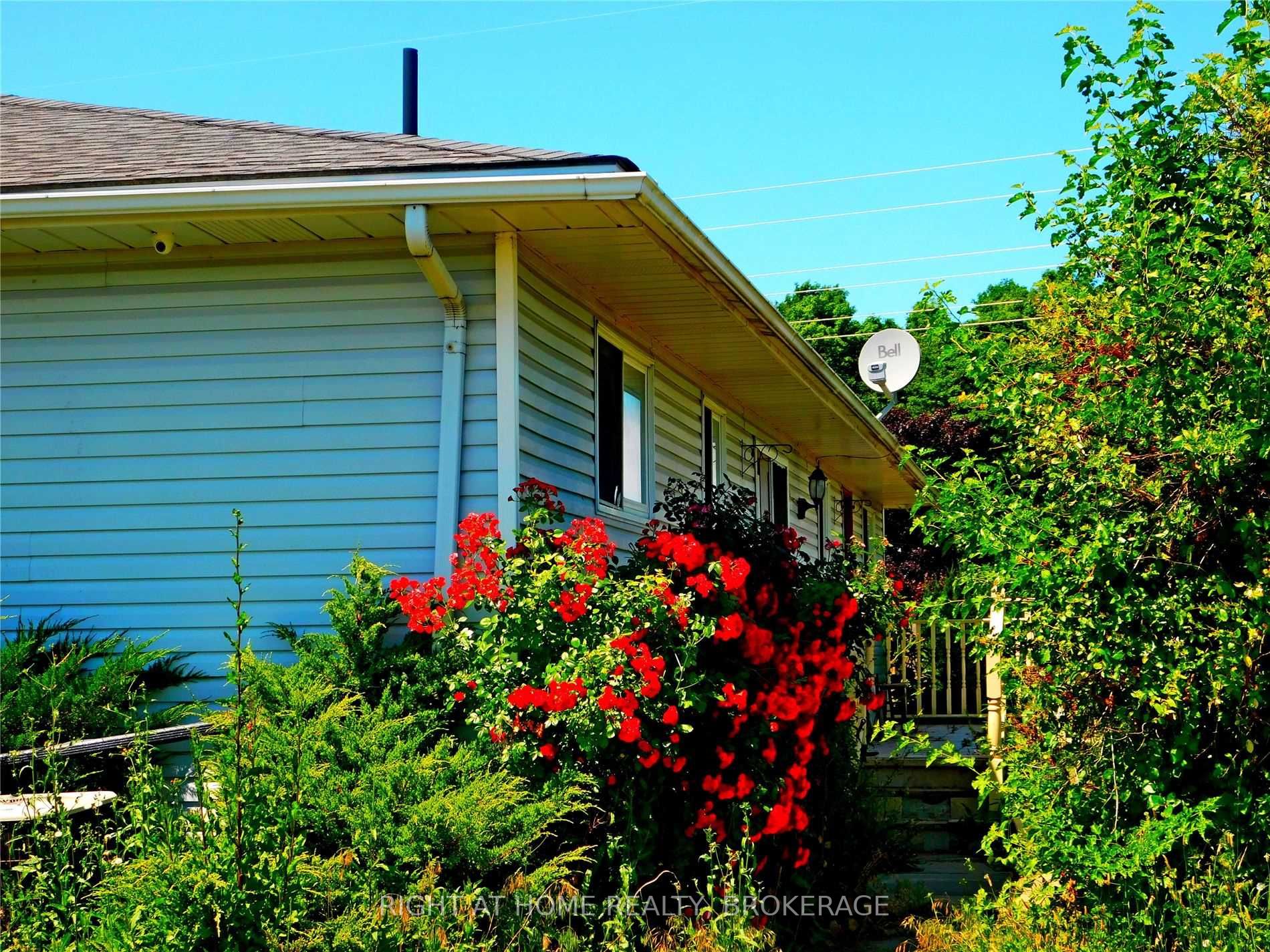 Listing X5699512 - Large Photo # 4
