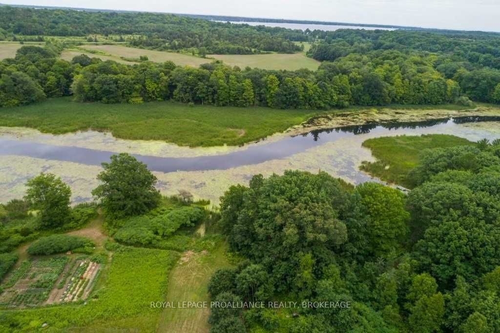Listing X5703179 - Large Photo # 39