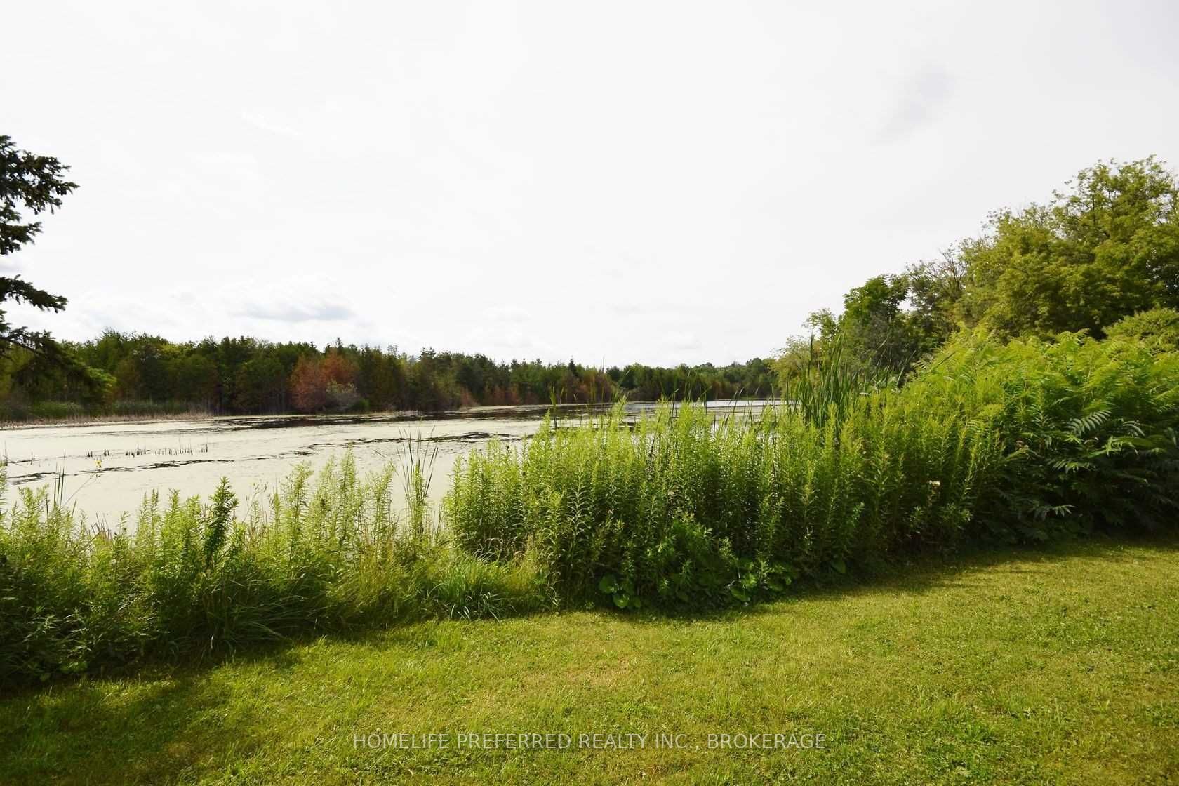 Listing X5725731 - Large Photo # 36