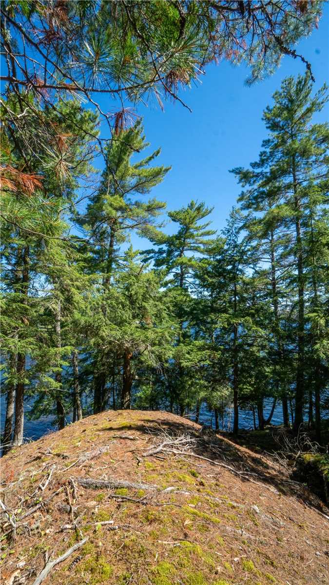 Listing X5727797 - Large Photo # 28