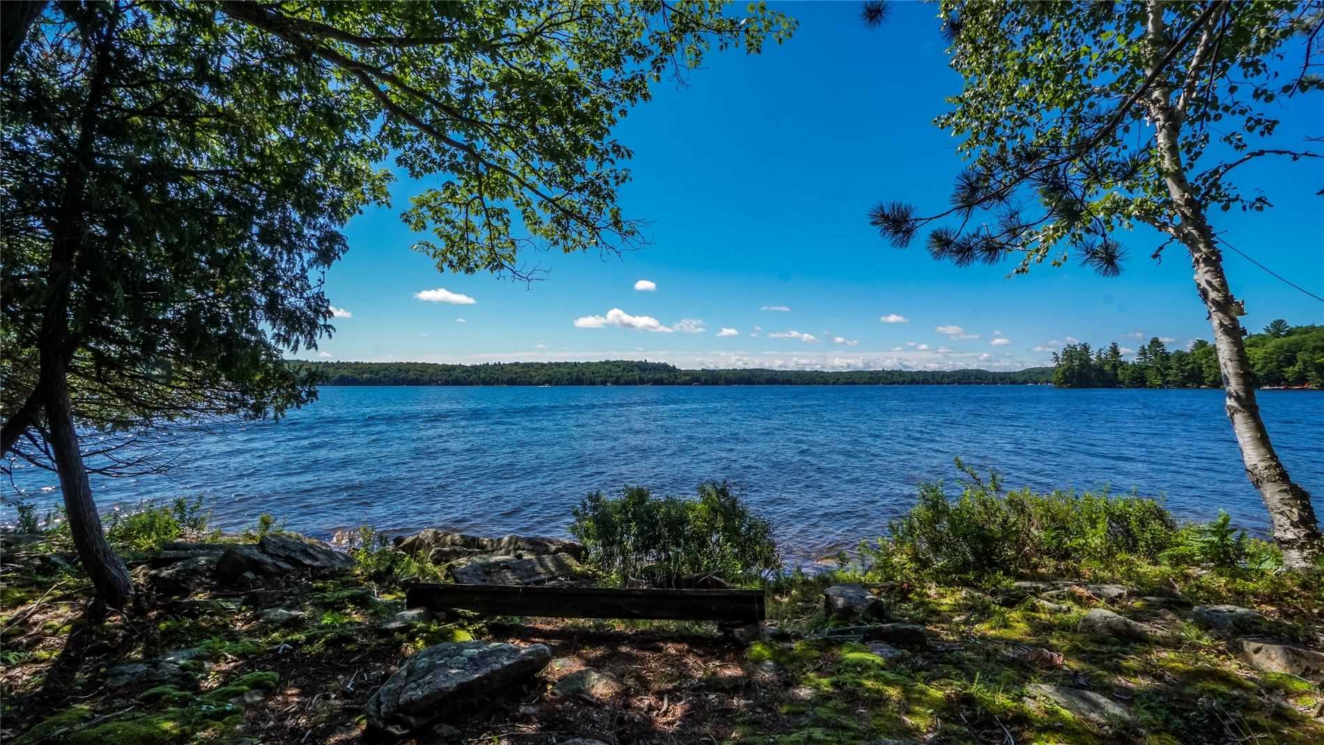 Listing X5727797 - Large Photo # 20