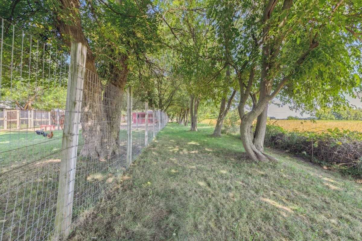 Listing X5729262 - Large Photo # 36