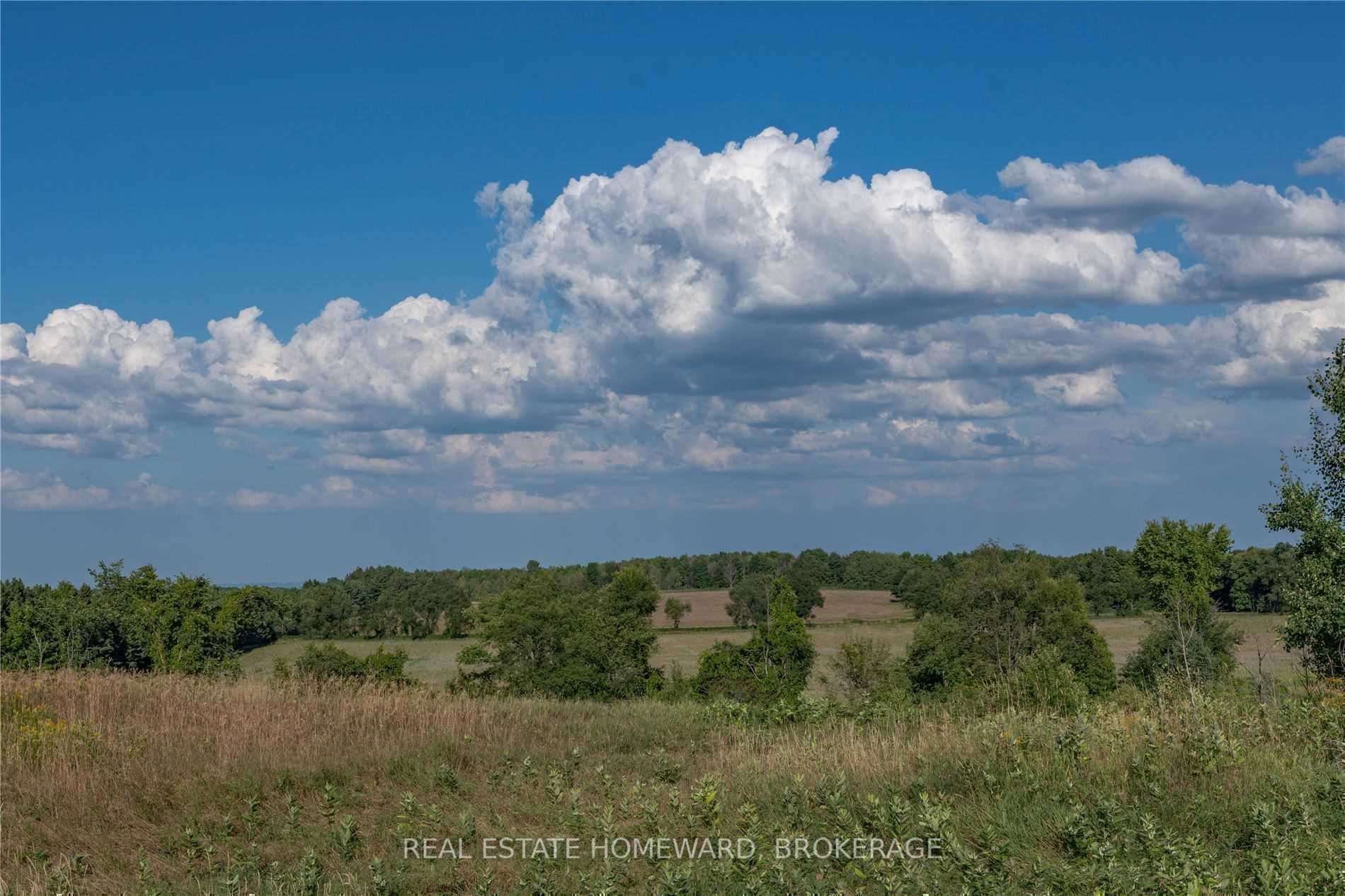 Listing X5736546 - Large Photo # 29