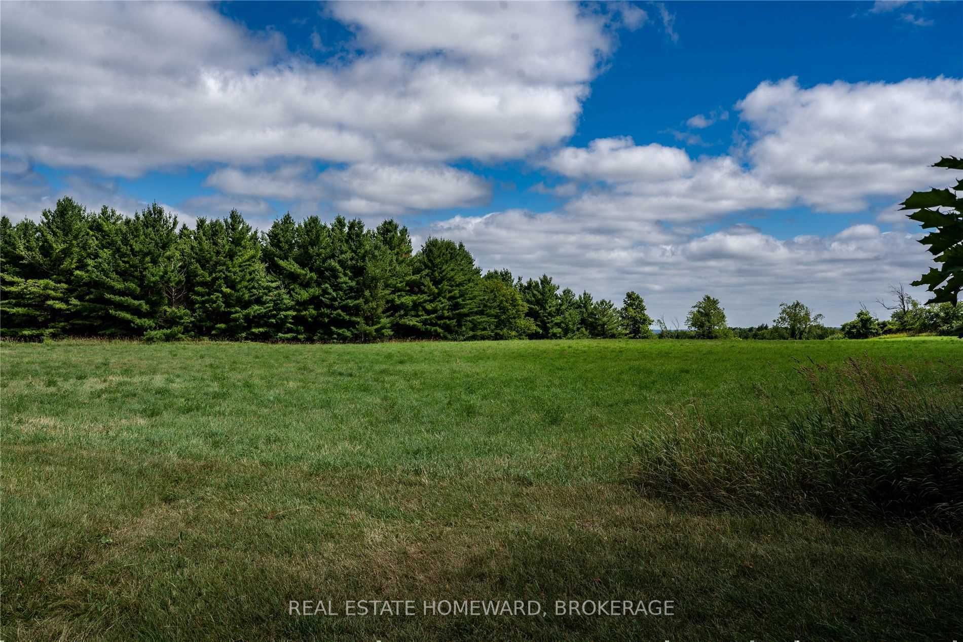 Listing X5736546 - Large Photo # 33