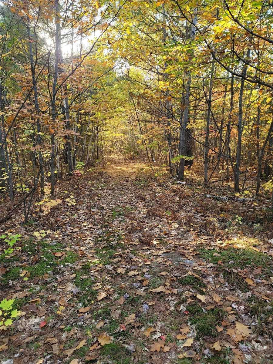 Listing X5736782 - Large Photo # 18