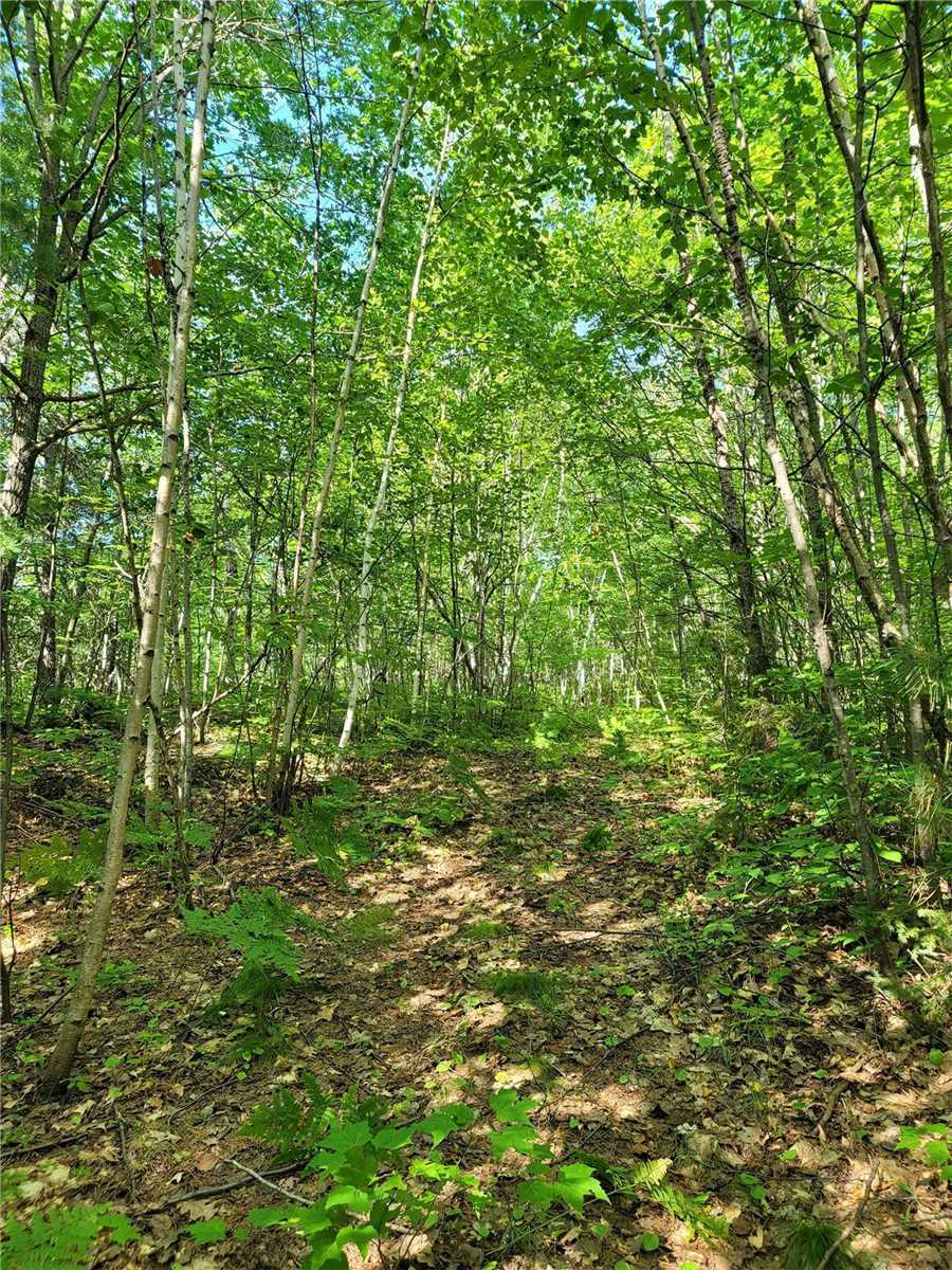 Listing X5736782 - Large Photo # 13