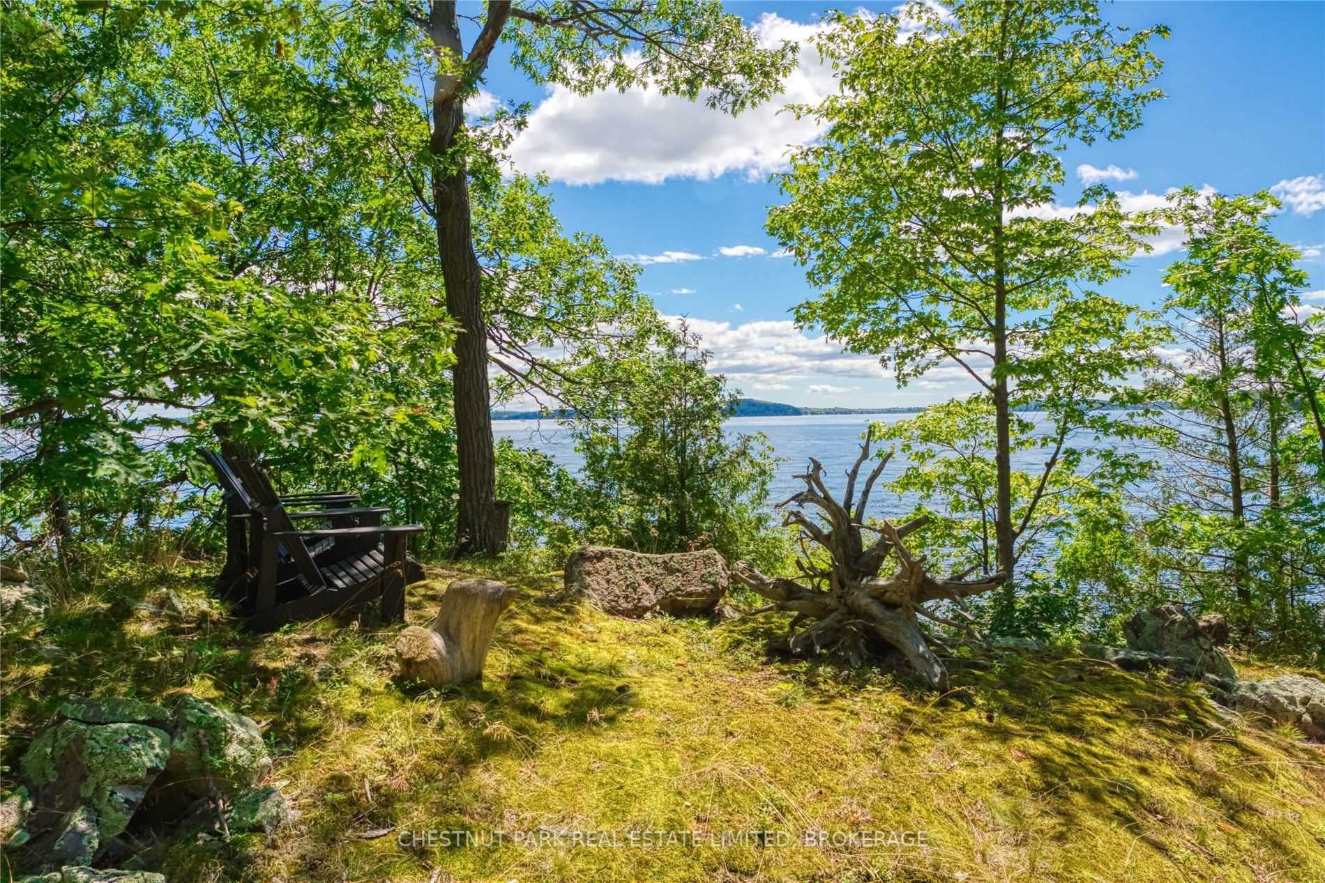 Listing X5737084 - Large Photo # 37